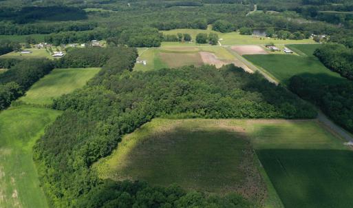 Photo #8 of 1419 Mable Spaulding, Whiteville, NC 18.6 acres