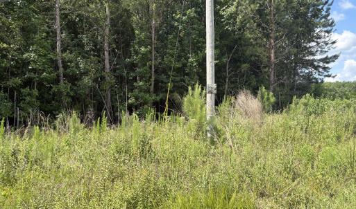 Photo #3 of 1419 Mable Spaulding, Whiteville, NC 18.6 acres
