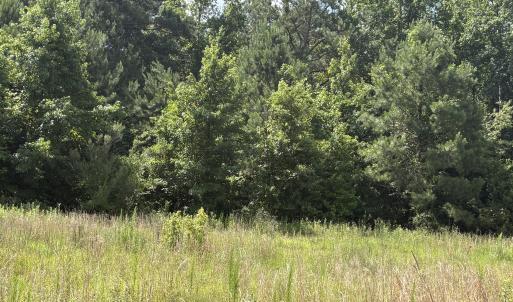 Photo #2 of 1419 Mable Spaulding, Whiteville, NC 18.6 acres