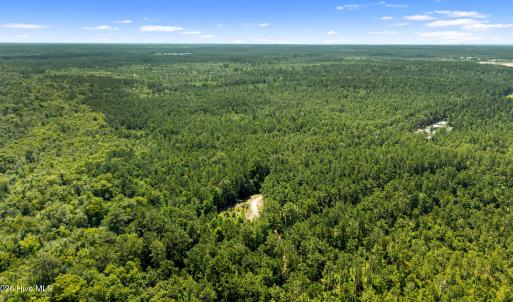 Photo #9 of Tbd 110 Acres American Way, Rocky Point, NC 110.0 acres