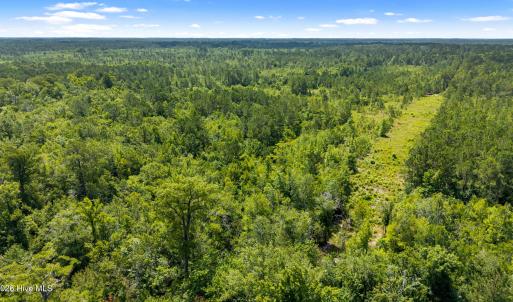 Photo #4 of Tbd 110 Acres American Way, Rocky Point, NC 110.0 acres