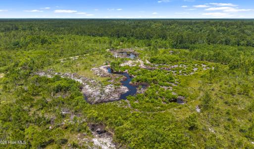 Photo #10 of Tbd 110 Acres American Way, Rocky Point, NC 110.0 acres