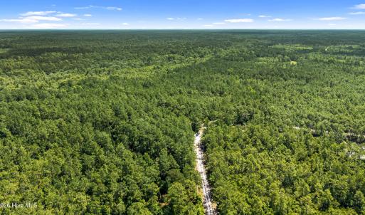 Photo #6 of Tbd 110 Acres American Way, Rocky Point, NC 110.0 acres