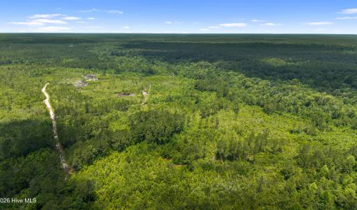 Photo #8 of Tbd 110 Acres American Way, Rocky Point, NC 110.0 acres