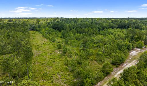 Photo #3 of Tbd 110 Acres American Way, Rocky Point, NC 110.0 acres