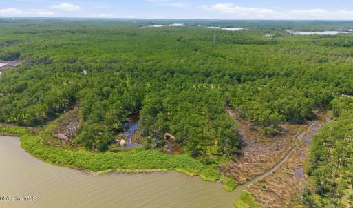 Photo #4 of 143 River Watch, Oriental, NC 4.6 acres