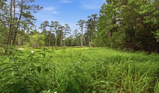 Photo #10 of 2409 Turtle Bay, New Bern, NC 0.6 acres