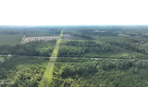 Photo #12 of General Howe, Riegelwood, NC 67.0 acres
