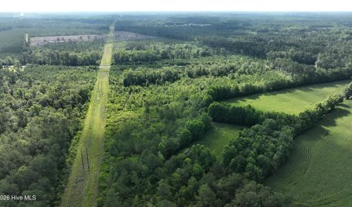 Photo #2 of General Howe, Riegelwood, NC 67.0 acres