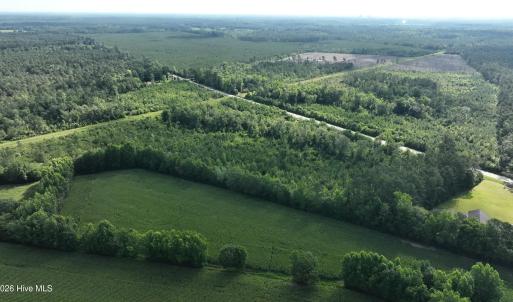 Photo #5 of General Howe, Riegelwood, NC 67.0 acres