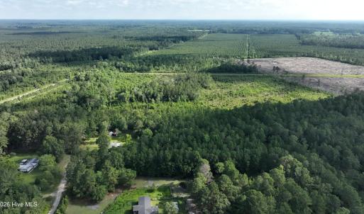Photo #10 of General Howe, Riegelwood, NC 67.0 acres
