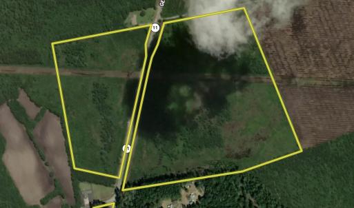 Photo #1 of General Howe, Riegelwood, NC 67.0 acres