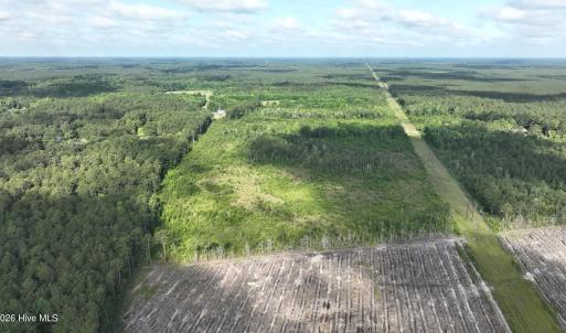 Photo #11 of General Howe, Riegelwood, NC 67.0 acres