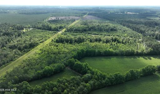 Photo #4 of General Howe, Riegelwood, NC 67.0 acres