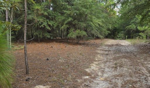 Photo #3 of 317 R J Johnson, Allendale, SC 25.0 acres