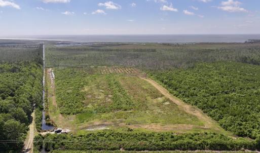 Photo #23 of U.S. 264, Engelhard, NC 500.0 acres