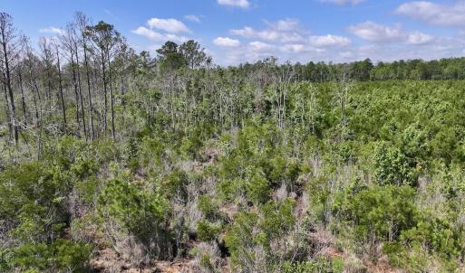 Photo #27 of U.S. 264, Engelhard, NC 500.0 acres