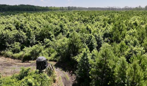 Photo #33 of U.S. 264, Engelhard, NC 500.0 acres