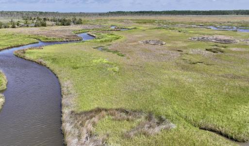 Photo #22 of U.S. 264, Engelhard, NC 500.0 acres