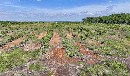 Photo #7 of U.S. 264, Engelhard, NC 500.0 acres