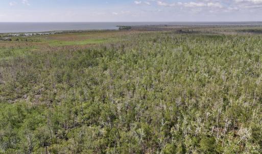 Photo #60 of U.S. 264, Engelhard, NC 500.0 acres