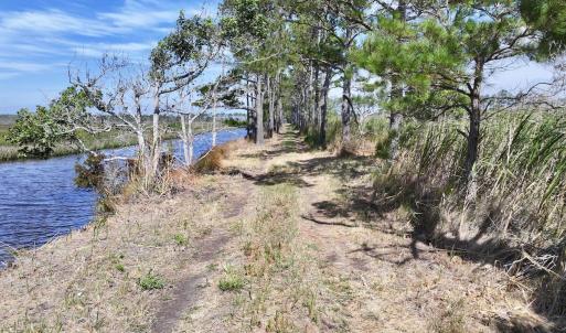 Photo #36 of U.S. 264, Engelhard, NC 500.0 acres