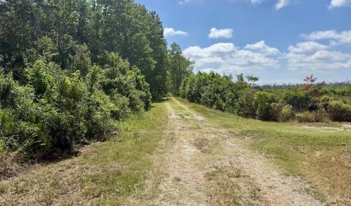 Photo #35 of U.S. 264, Engelhard, NC 500.0 acres