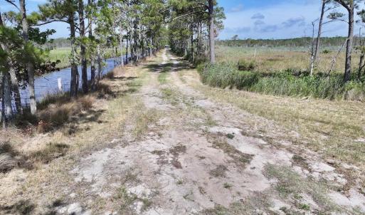 Photo #47 of U.S. 264, Engelhard, NC 500.0 acres