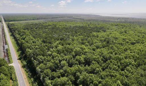 Photo #54 of U.S. 264, Engelhard, NC 500.0 acres