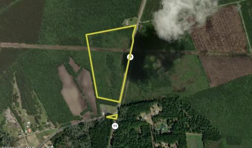 Photo #1 of General Howe, Riegelwood, NC 20.0 acres