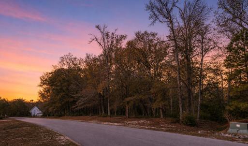 Photo #3 of 3382 Eagle Crest, Supply, NC 1.5 acres