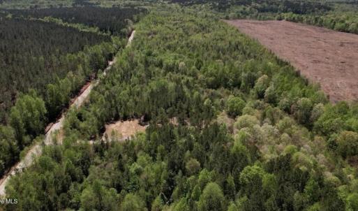 Photo #8 of 3 Beamon Hunt, Warrenton, NC 16.0 acres