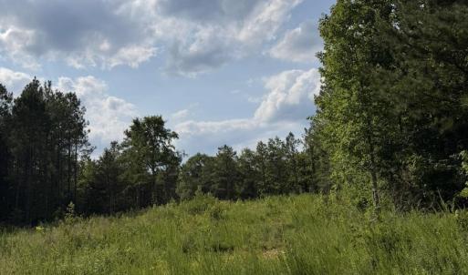 Photo #5 of 3 Beamon Hunt, Warrenton, NC 16.0 acres