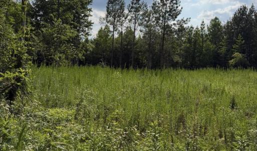 Photo #4 of 3 Beamon Hunt, Warrenton, NC 16.0 acres