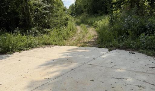 Photo #1 of 3 Beamon Hunt, Warrenton, NC 16.0 acres