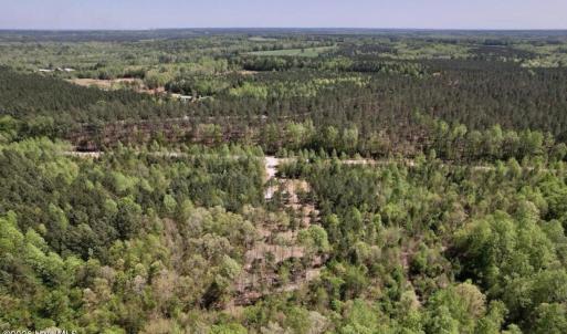 Photo #7 of 3 Beamon Hunt, Warrenton, NC 16.0 acres