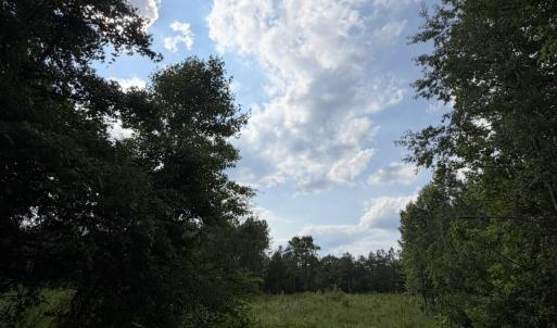 Photo #3 of 3 Beamon Hunt, Warrenton, NC 16.0 acres