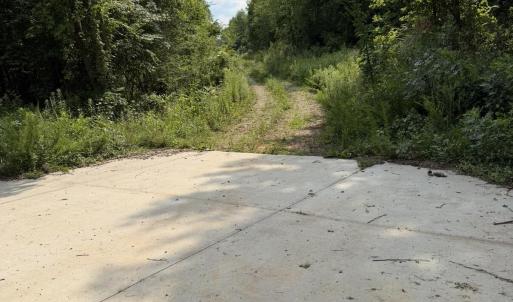Photo #1 of 3 Beamon Hunt, Warrenton, NC 16.0 acres