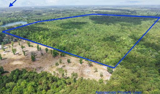 Photo #7 of Todd, Shallotte, NC 108.5 acres