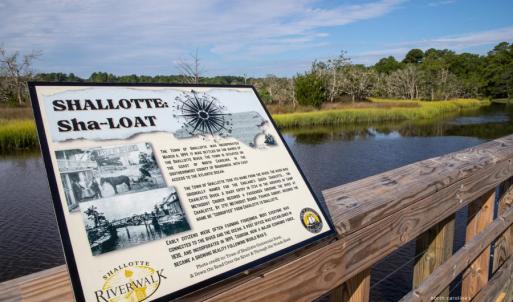 Photo #17 of Todd, Shallotte, NC 108.5 acres