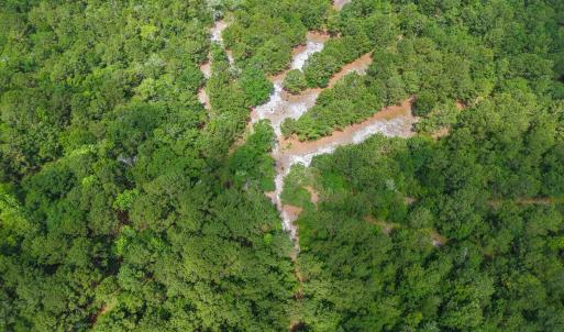 Photo #8 of Todd, Shallotte, NC 108.5 acres