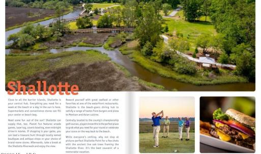 Photo #14 of Todd, Shallotte, NC 108.5 acres