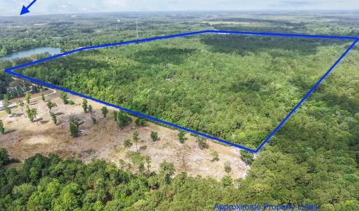 Photo #7 of Todd, Shallotte, NC 108.5 acres
