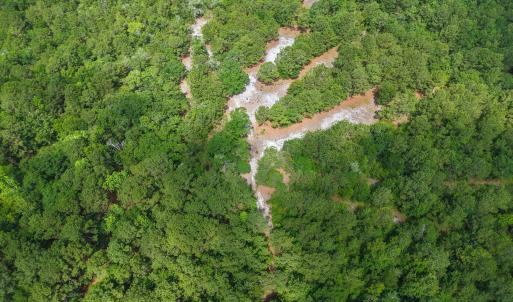 Photo #8 of Todd, Shallotte, NC 108.5 acres