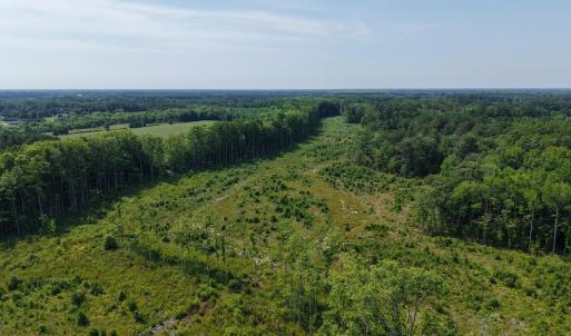 Photo #4 of 109ac Nc 32 N & Amp Corapeake, Corapeake, NC 99.6 acres