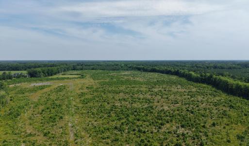 Photo #5 of 109ac Nc 32 N & Amp Corapeake, Corapeake, NC 99.6 acres