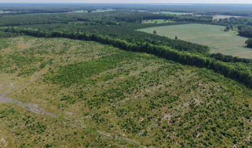 Photo #10 of 109ac Nc 32 N & Amp Corapeake, Corapeake, NC 99.6 acres
