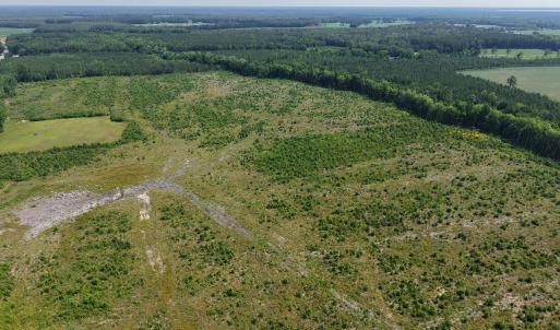 Photo #11 of 109ac Nc 32 N & Amp Corapeake, Corapeake, NC 99.6 acres