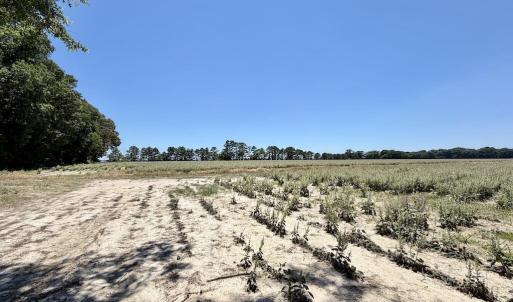 Photo #52 of 500 Indian Trail, Edenton, NC 964.4 acres