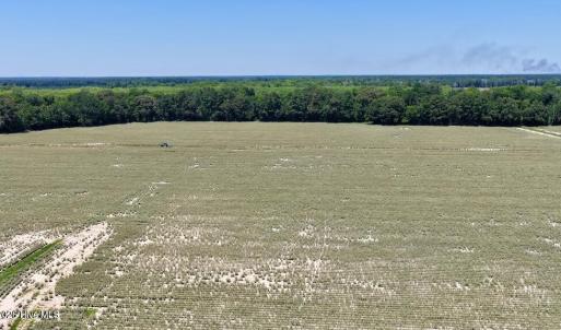 Photo #29 of 500 Indian Trail, Edenton, NC 964.4 acres